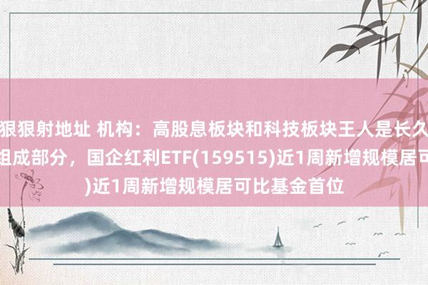 狠狠射地址 机构：高股息板块和科技板块王人是长久成立的关键组成部分，国企红利ETF(159515)近1周新增规模居可比基金首位