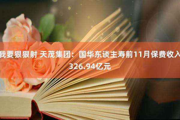 我要狠狠射 天茂集团：国华东谈主寿前11月保费收入326.94亿元