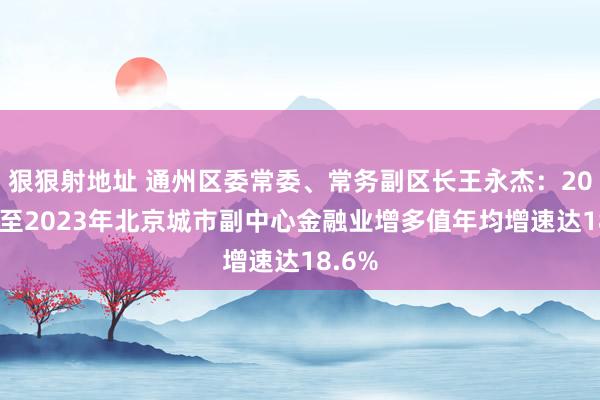 狠狠射地址 通州区委常委、常务副区长王永杰：2019年至2023年北京城市副中心金融业增多值年均增速达18.6%