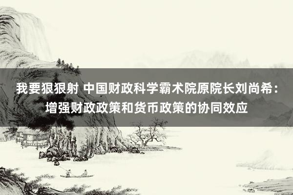 我要狠狠射 中国财政科学霸术院原院长刘尚希：增强财政政策和货币政策的协同效应