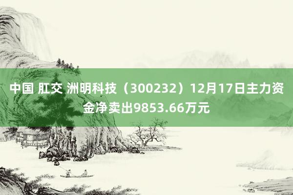 中国 肛交 洲明科技（300232）12月17日主力资金净卖出9853.66万元