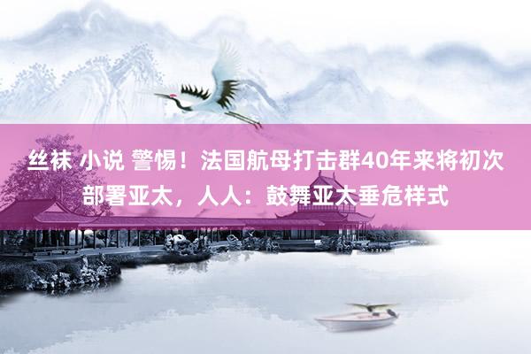 丝袜 小说 警惕！法国航母打击群40年来将初次部署亚太，人人：鼓舞亚太垂危样式