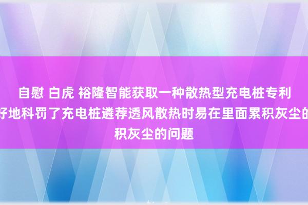 自慰 白虎 裕隆智能获取一种散热型充电桩专利，较好地科罚了充电桩遴荐透风散热时易在里面累积灰尘的问题