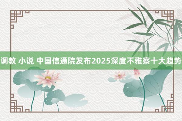 调教 小说 中国信通院发布2025深度不雅察十大趋势