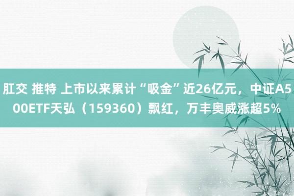 肛交 推特 上市以来累计“吸金”近26亿元，中证A500ETF天弘（159360）飘红，万丰奥威涨超5%