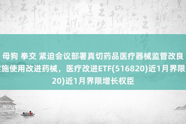 母狗 拳交 紧迫会议部署真切药品医疗器械监管改良，积极实施使用改进药械，医疗改进ETF(516820)近1月界限增长权臣