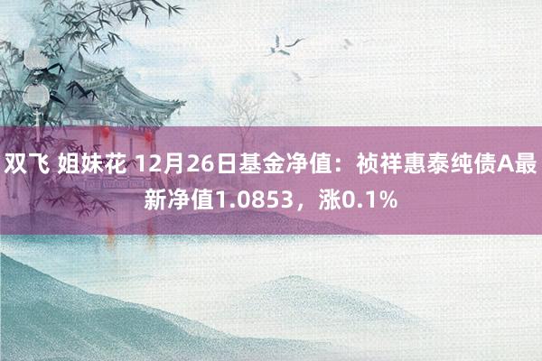 双飞 姐妹花 12月26日基金净值：祯祥惠泰纯债A最新净值1.0853，涨0.1%