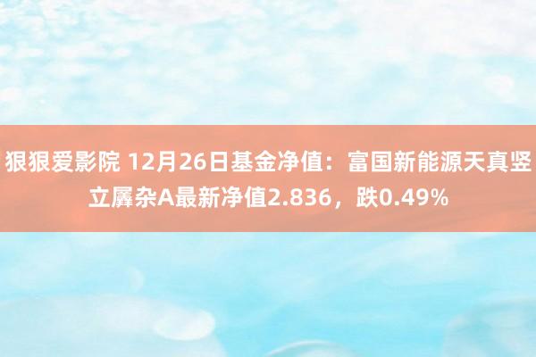 狠狠爱影院 12月26日基金净值：富国新能源天真竖立羼杂A最新净值2.836，跌0.49%