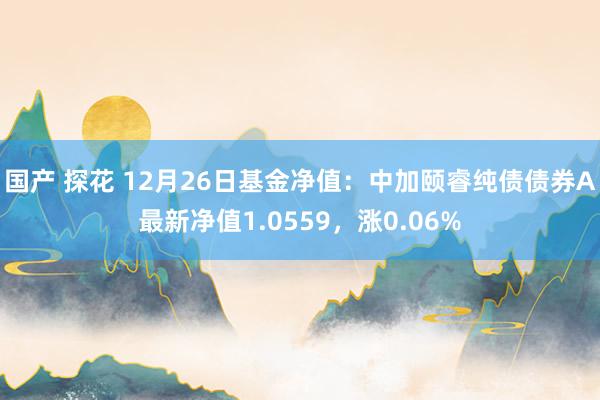 国产 探花 12月26日基金净值：中加颐睿纯债债券A最新净值1.0559，涨0.06%