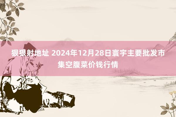 狠狠射地址 2024年12月28日寰宇主要批发市集空腹菜价钱行情