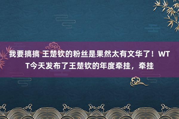 我要搞搞 王楚钦的粉丝是果然太有文华了！WTT今天发布了王楚钦的年度牵挂，牵挂