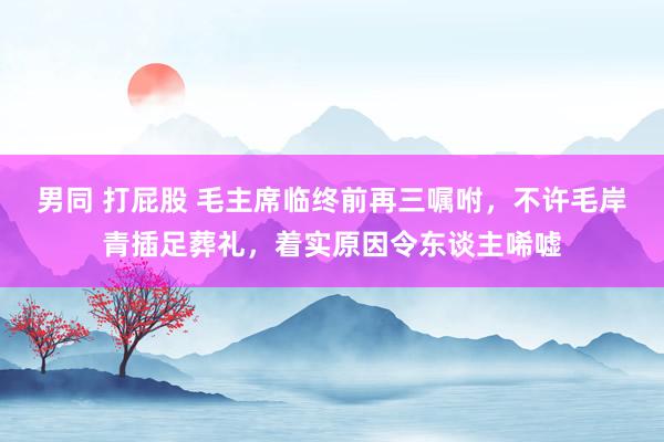 男同 打屁股 毛主席临终前再三嘱咐，不许毛岸青插足葬礼，着实原因令东谈主唏嘘