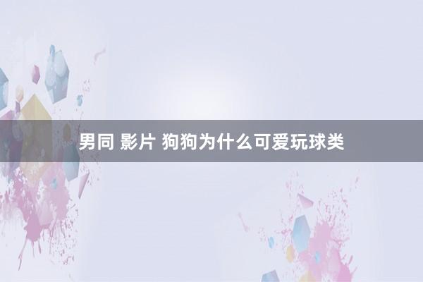 男同 影片 狗狗为什么可爱玩球类