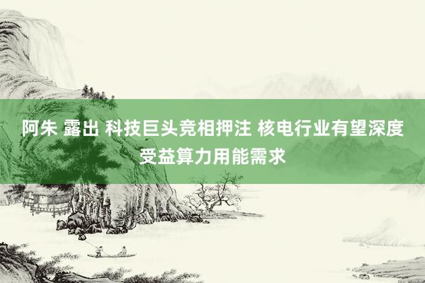 阿朱 露出 科技巨头竞相押注 核电行业有望深度受益算力用能需求