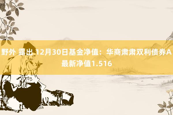 野外 露出 12月30日基金净值：华商肃肃双利债券A最新净值1.516