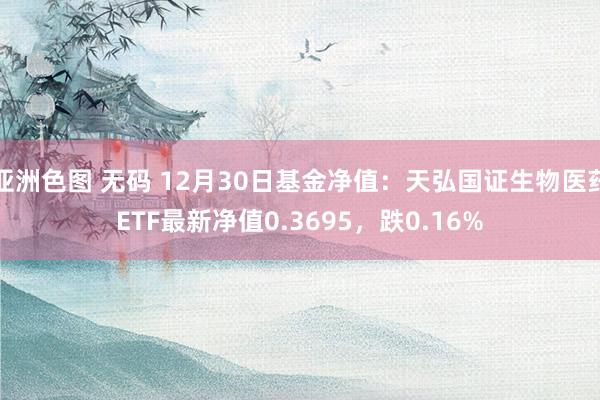 亚洲色图 无码 12月30日基金净值：天弘国证生物医药ETF最新净值0.3695，跌0.16%