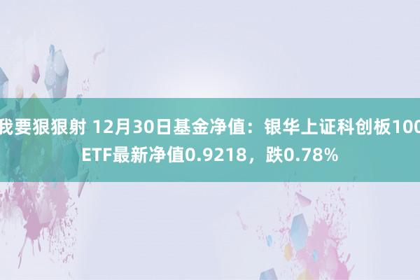 我要狠狠射 12月30日基金净值：银华上证科创板100ETF最新净值0.9218，跌0.78%