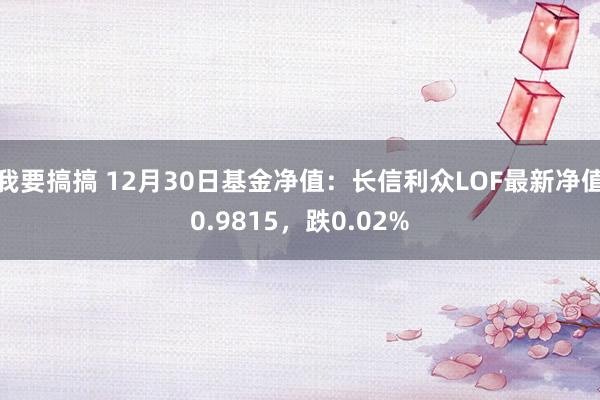 我要搞搞 12月30日基金净值：长信利众LOF最新净值0.9815，跌0.02%