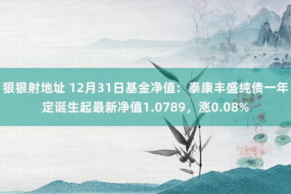 狠狠射地址 12月31日基金净值：泰康丰盛纯债一年定诞生起最新净值1.0789，涨0.08%