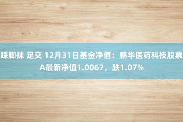 踩脚袜 足交 12月31日基金净值：鹏华医药科技股票A最新净值1.0067，跌1.07%