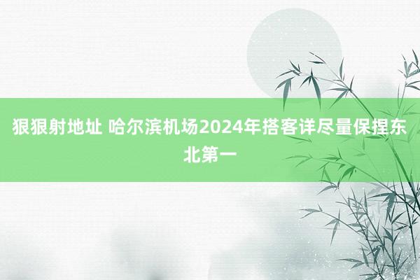 狠狠射地址 哈尔滨机场2024年搭客详尽量保捏东北第一