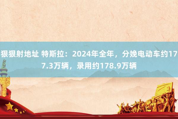 狠狠射地址 特斯拉：2024年全年，分娩电动车约177.3万辆，录用约178.9万辆