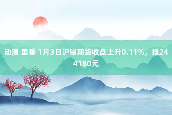 动漫 里番 1月3日沪锡期货收盘上升0.11%，报244180元