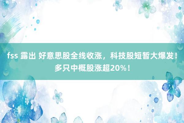 fss 露出 好意思股全线收涨，科技股短暂大爆发！多只中概股涨超20%！