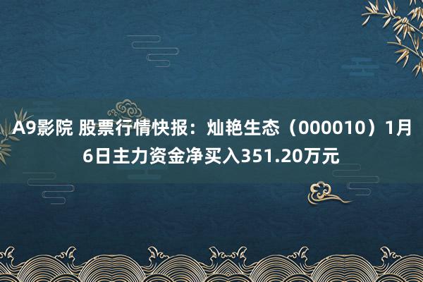 A9影院 股票行情快报：灿艳生态（000010）1月6日主力资金净买入351.20万元