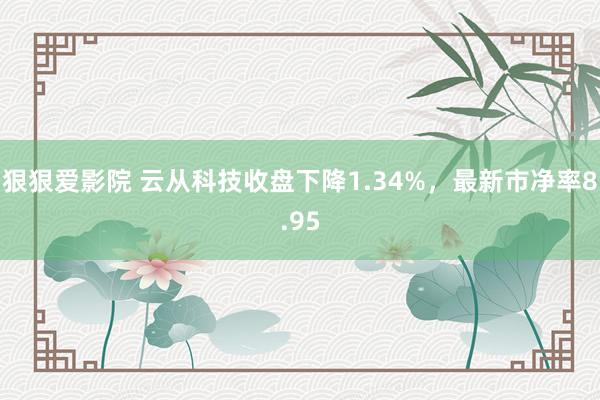 狠狠爱影院 云从科技收盘下降1.34%，最新市净率8.95