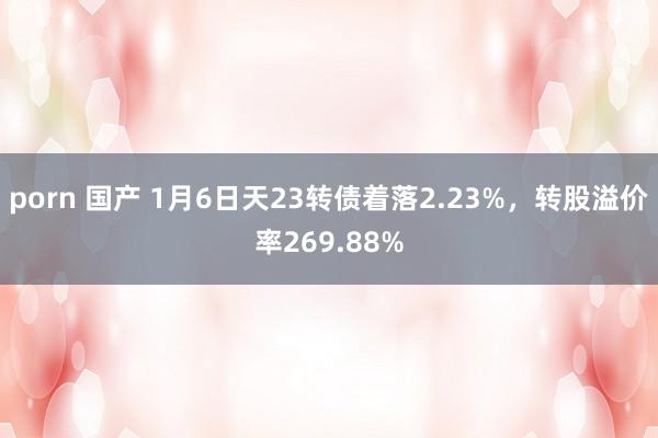 porn 国产 1月6日天23转债着落2.23%，转股溢价率269.88%