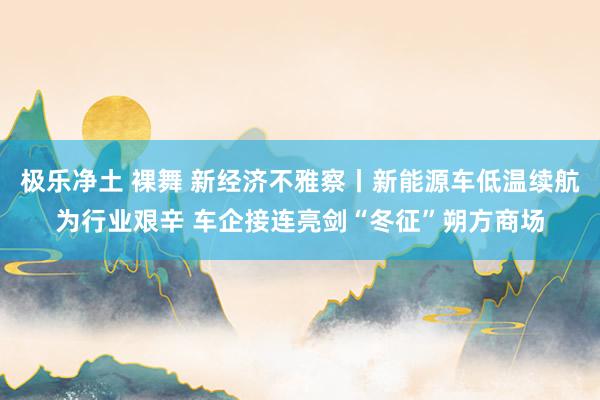 极乐净土 裸舞 新经济不雅察丨新能源车低温续航为行业艰辛 车企接连亮剑“冬征”朔方商场