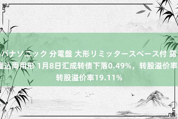 パナソニック 分電盤 大形リミッタースペース付 露出・半埋込両用形 1月8日汇成转债下落0.49%，转股溢价率19.11%