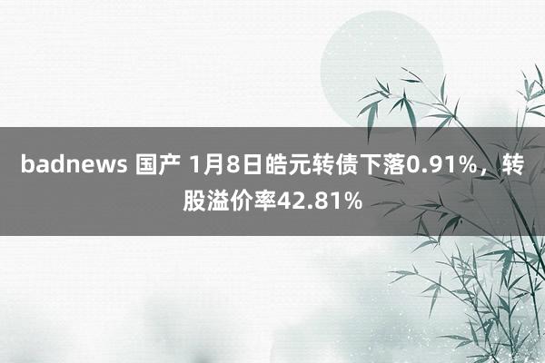 badnews 国产 1月8日皓元转债下落0.91%，转股溢价率42.81%