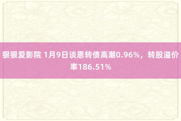 狠狠爱影院 1月9日谈恩转债高潮0.96%，转股溢价率186.51%