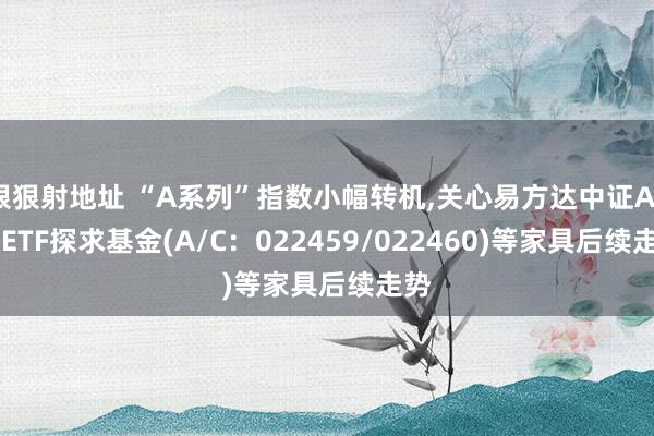 狠狠射地址 “A系列”指数小幅转机，关心易方达中证A500ETF探求基金(A/C：022459/022460)等家具后续走势