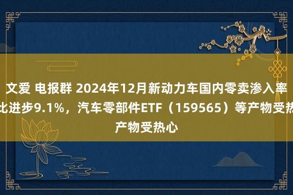 文爱 电报群 2024年12月新动力车国内零卖渗入率同比进步9.1%，汽车零部件ETF（159565）等产物受热心