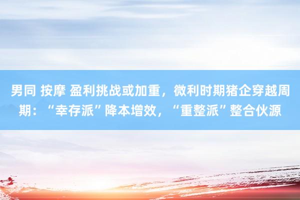 男同 按摩 盈利挑战或加重，微利时期猪企穿越周期：“幸存派”降本增效，“重整派”整合伙源