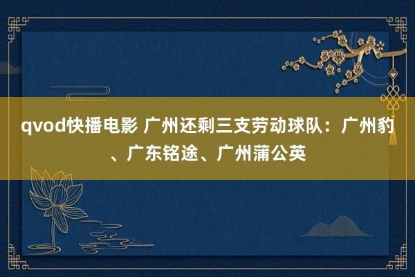 qvod快播电影 广州还剩三支劳动球队：广州豹、广东铭途、广州蒲公英