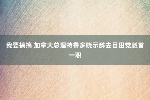 我要搞搞 加拿大总理特鲁多晓示辞去目田党魁首一职