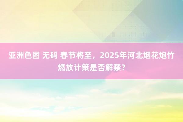 亚洲色图 无码 春节将至，2025年河北烟花炮竹燃放计策是否解禁？