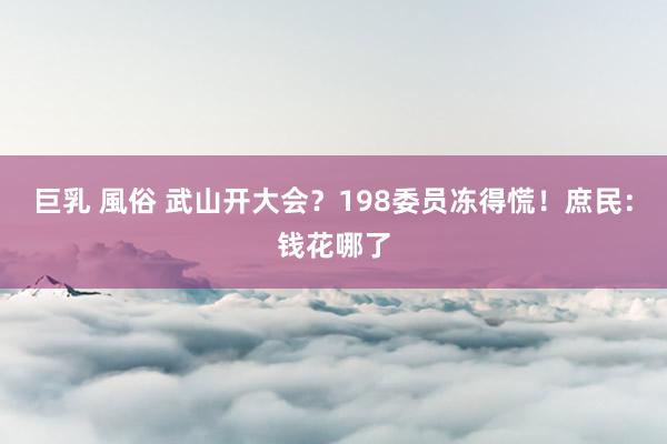 巨乳 風俗 武山开大会？198委员冻得慌！庶民：钱花哪了