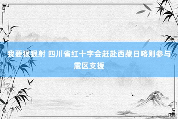 我要狠狠射 四川省红十字会赶赴西藏日喀则参与震区支援