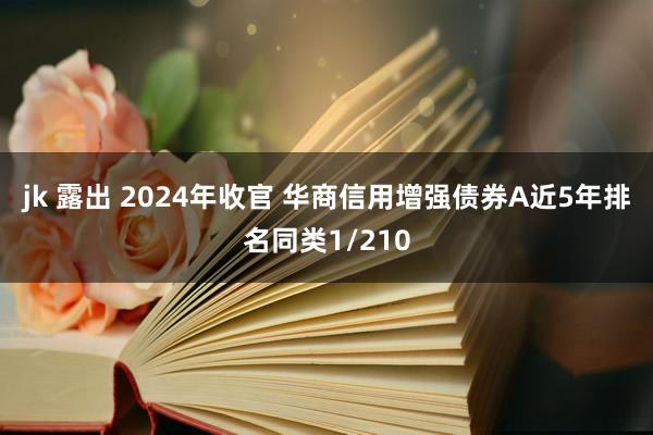 jk 露出 2024年收官 华商信用增强债券A近5年排名同类1/210