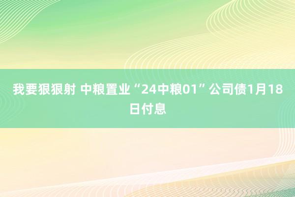 我要狠狠射 中粮置业“24中粮01”公司债1月18日付息