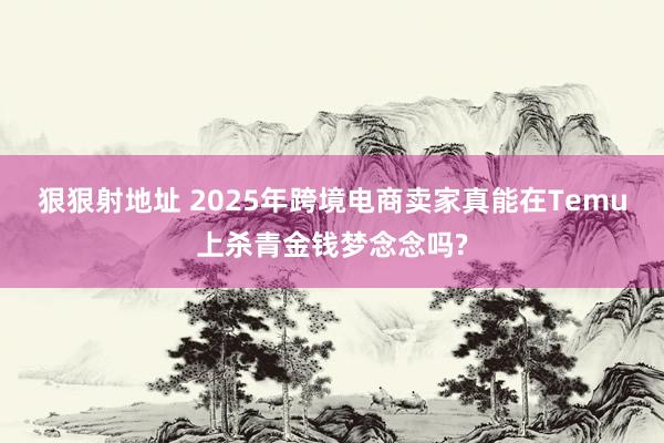 狠狠射地址 2025年跨境电商卖家真能在Temu上杀青金钱梦念念吗?