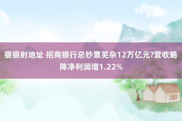 狠狠射地址 招商银行总钞票芜杂12万亿元?营收略降净利润增1.22%