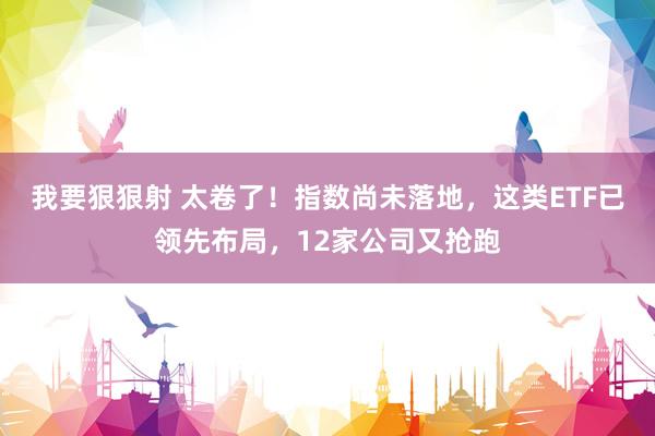 我要狠狠射 太卷了！指数尚未落地，这类ETF已领先布局，12家公司又抢跑