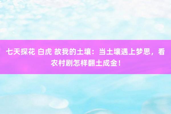 七天探花 白虎 故我的土壤：当土壤遇上梦思，看农村剧怎样翻土成金！