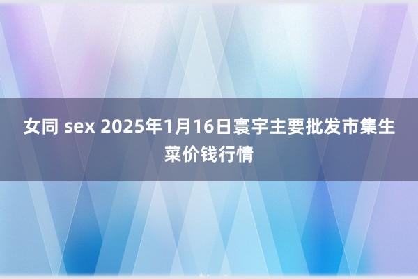 女同 sex 2025年1月16日寰宇主要批发市集生菜价钱行情